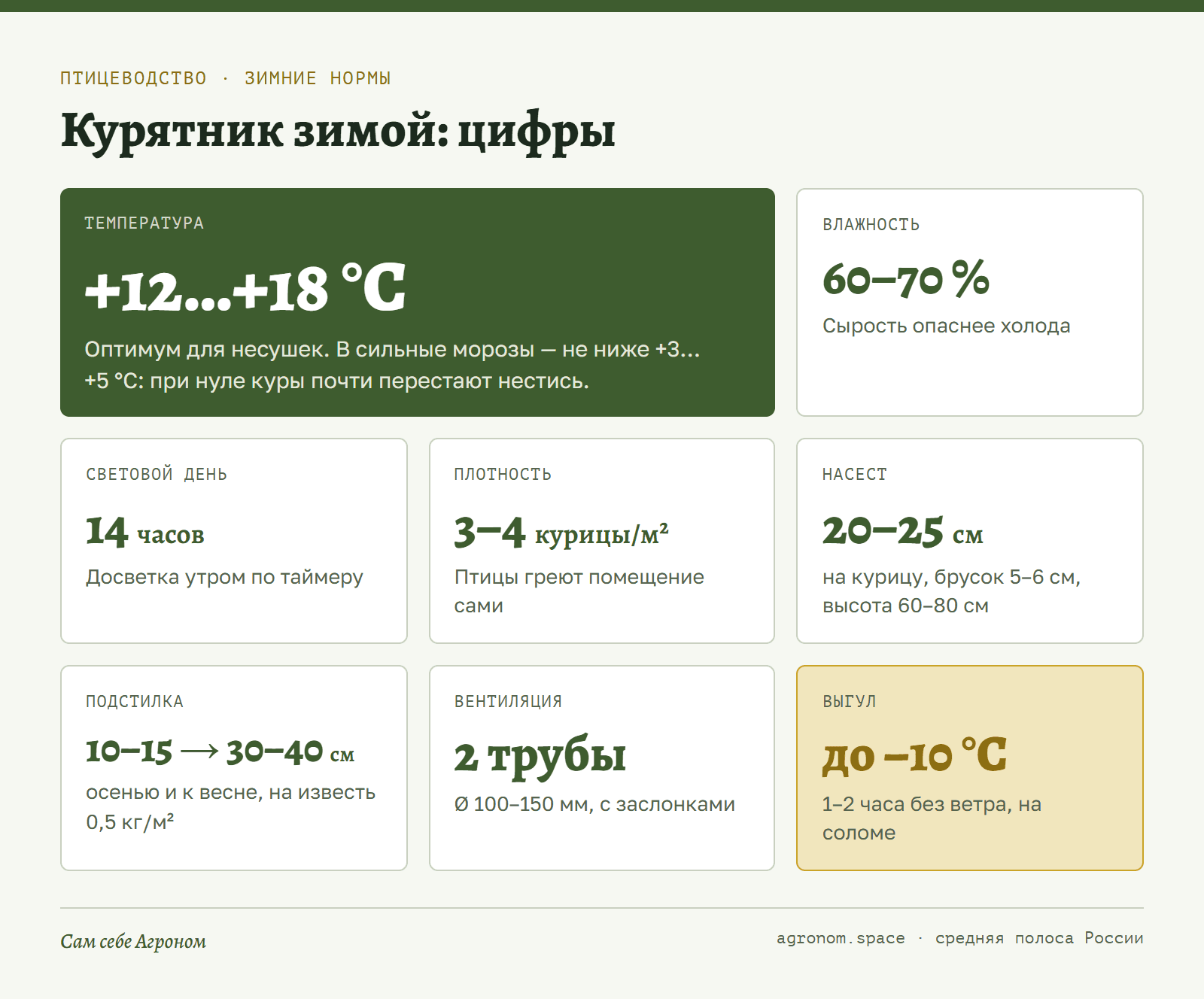 Инфокарточка: температура, влажность, свет и плотность посадки для несушек зимой