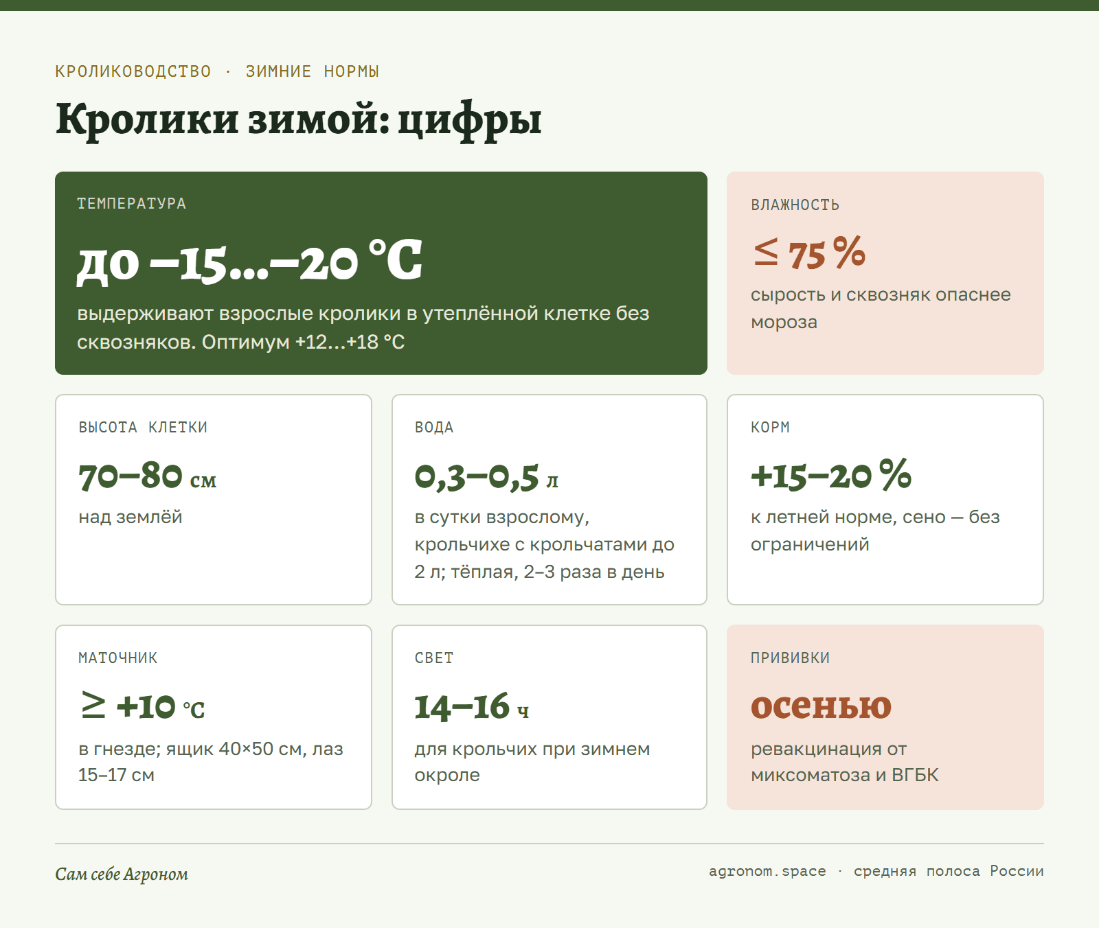 Инфокарточка: зимние нормы для кроликов — температура, влажность, свет, вода и корм
