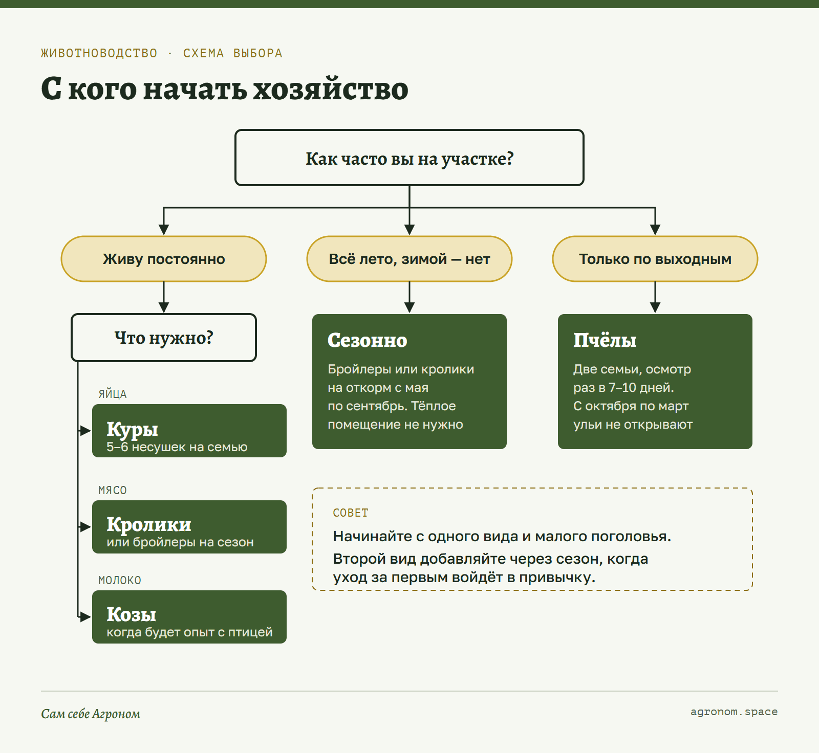 Схема «Кого завести первым»: решение по частоте приездов и желаемой продукции