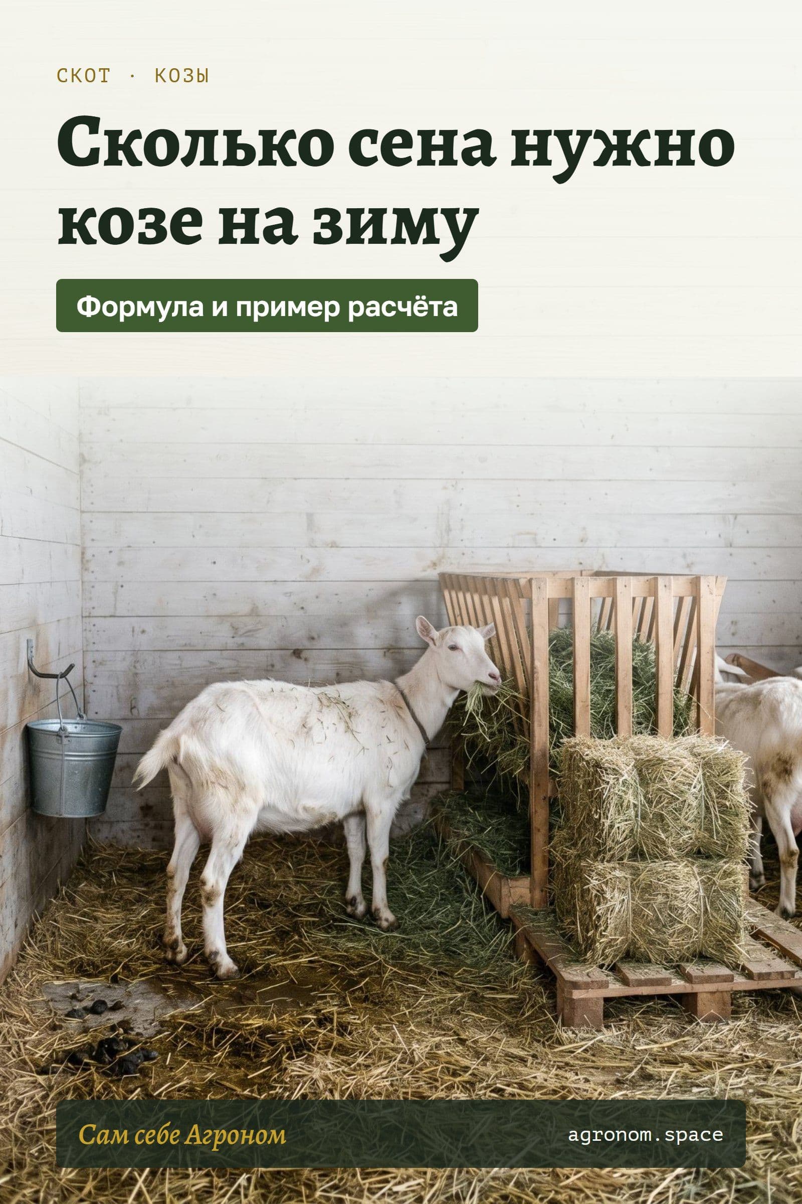 Пин для Pinterest: сколько сена нужно козе на зиму — расчёт