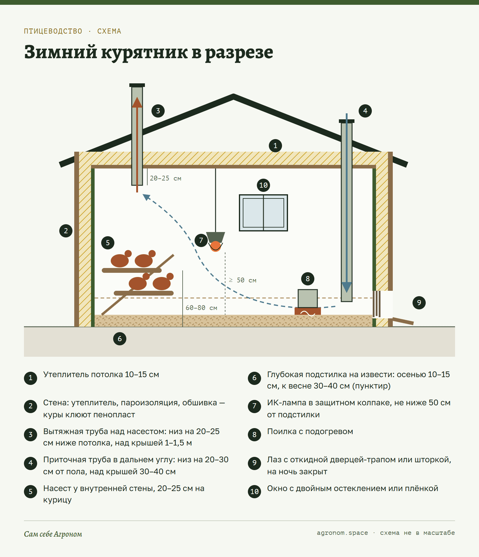Разрез зимнего курятника: утепление, вентиляция, насест, подстилка